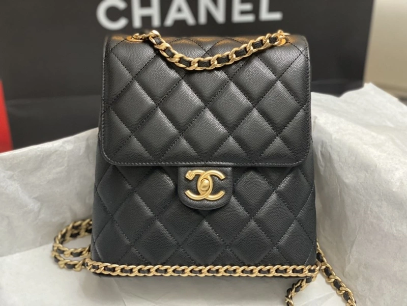 Ch**el cf series bags 4016a-0492