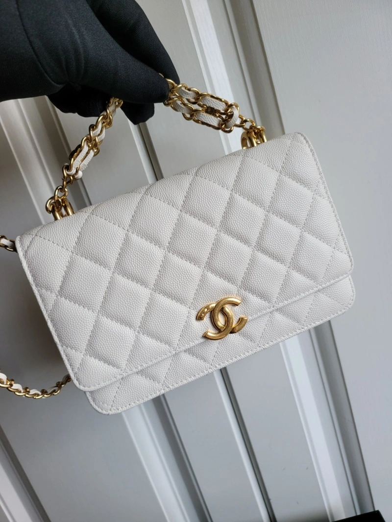 Ch**el 19 bags 4017-0411