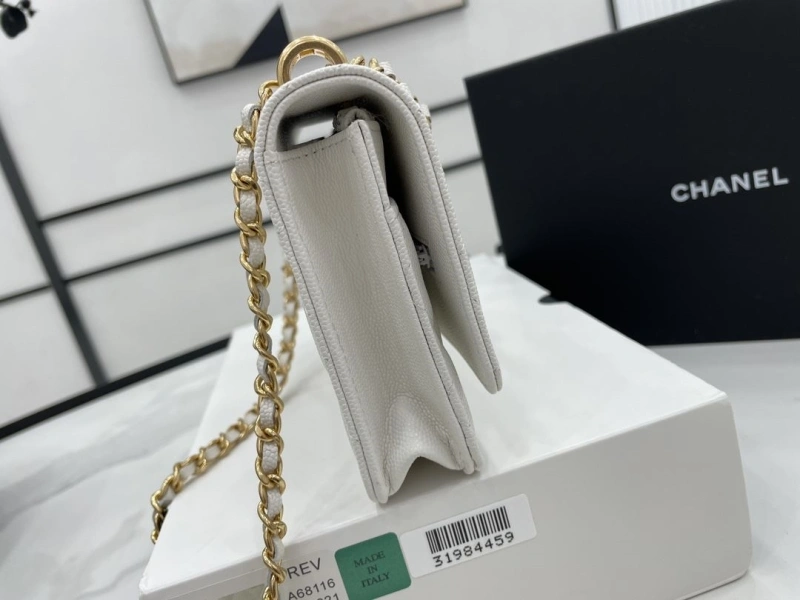 Ch**el 19 bags 4017-0507