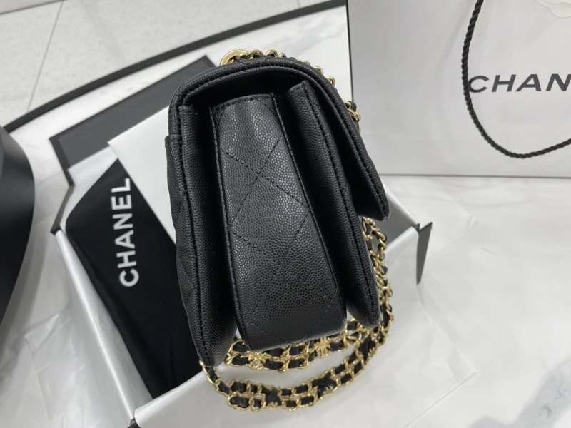 Ch**el cf series bags 4017-0671