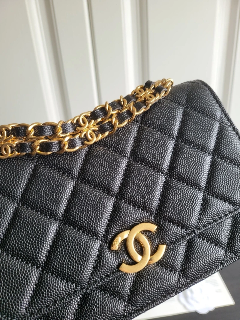Ch**el 19 bags 4017-1108