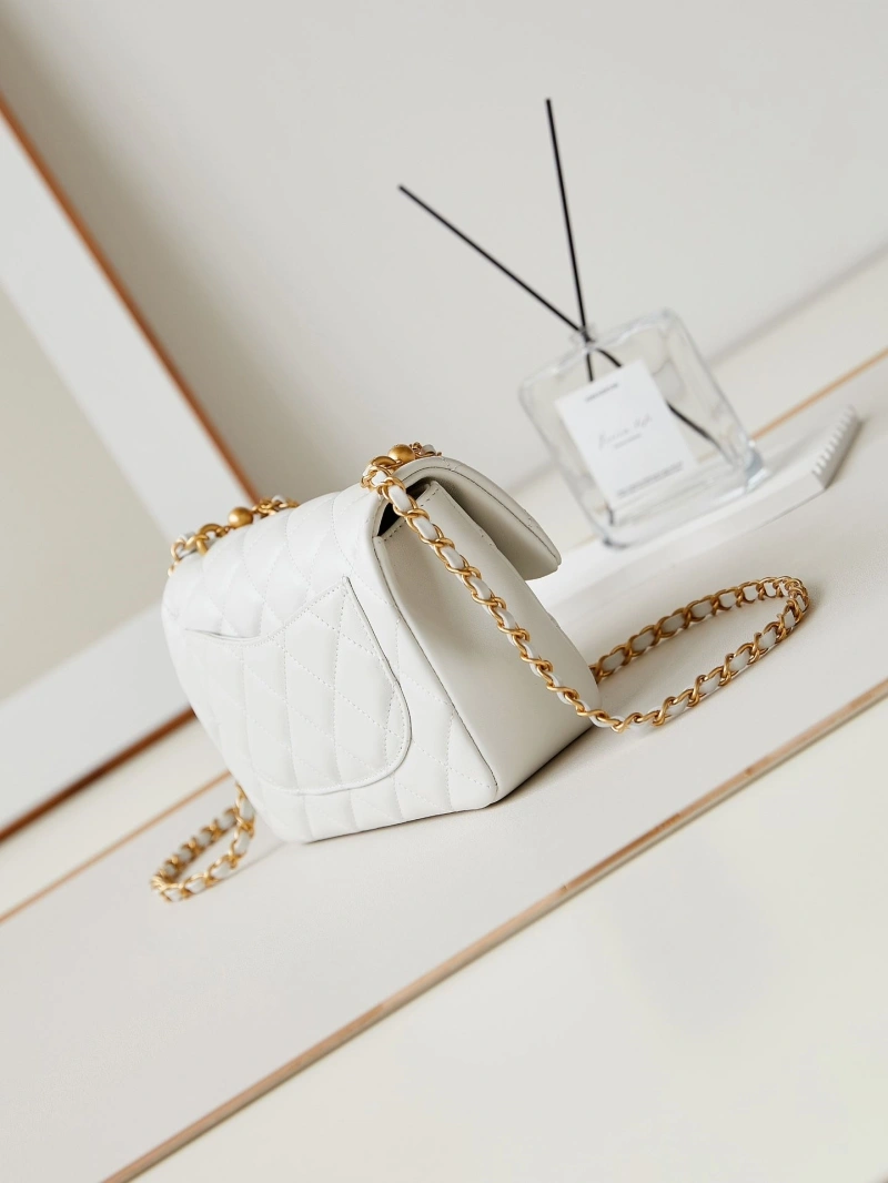 Ch**el 19 bags 4017-1521