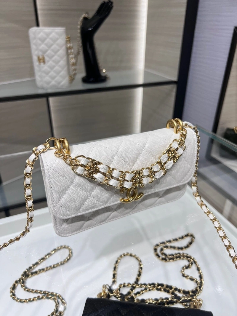 Ch**el 19 bags 4017-1550