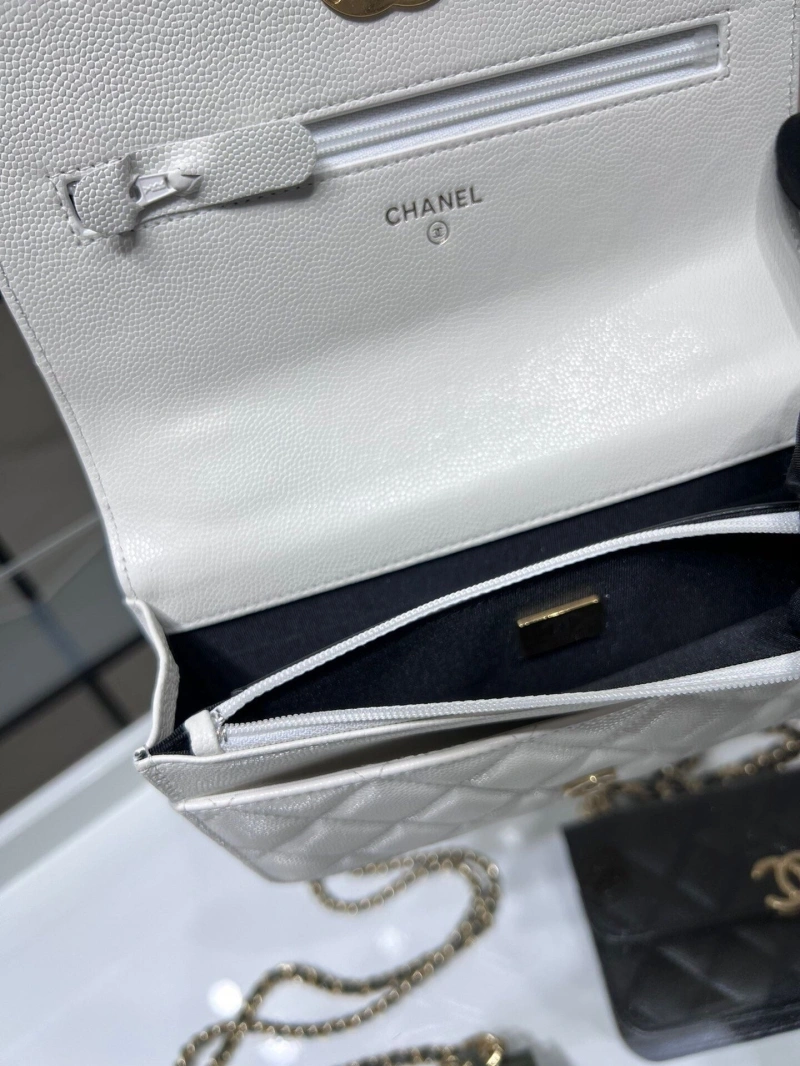 Ch**el 19 bags 4017-1552