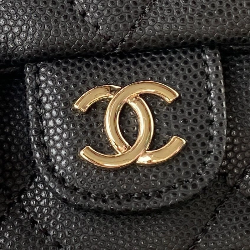 Ch**el backpacks 4017-2018