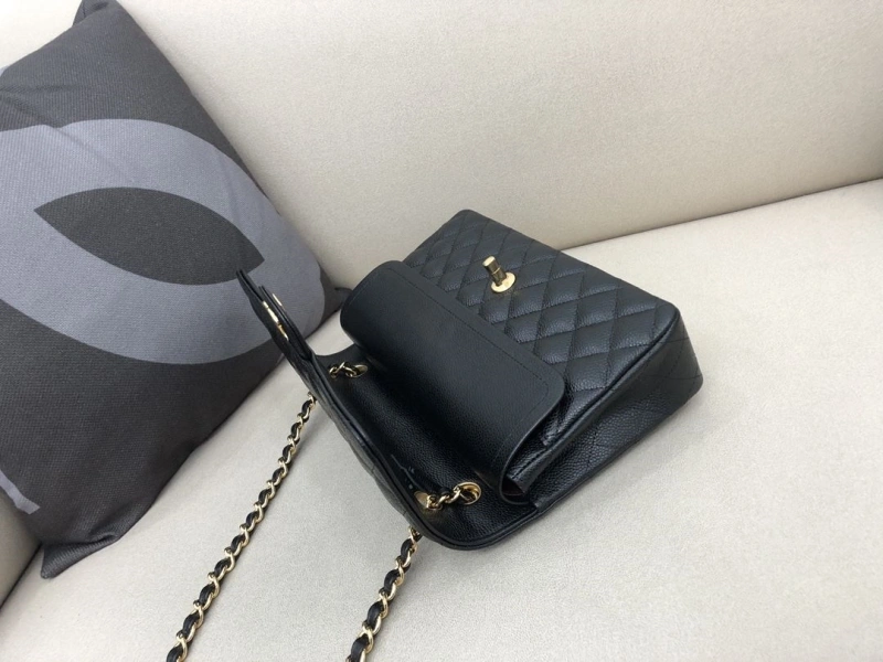 Ch**el cf series bags 4017-2313