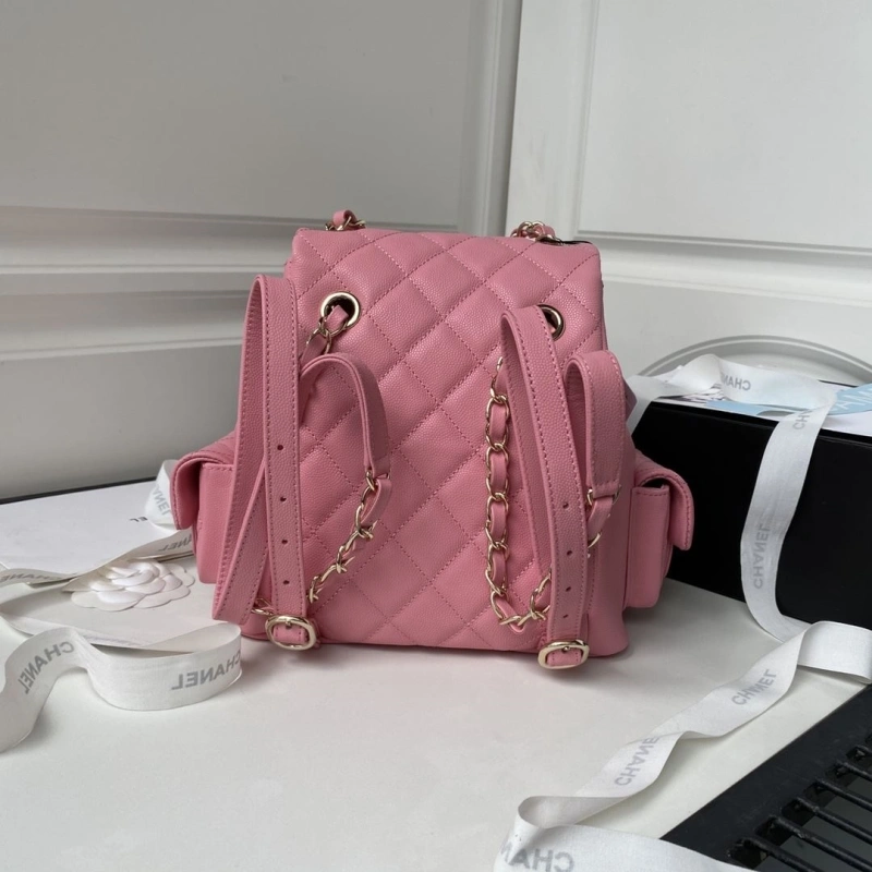 Ch**el backpacks 4017b-0065