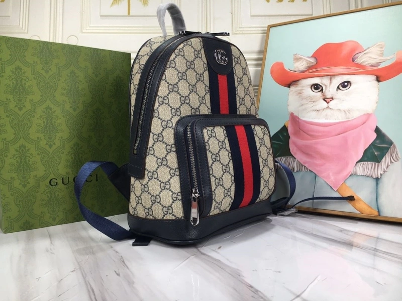 Gvc*1 backpacks 4032-1080