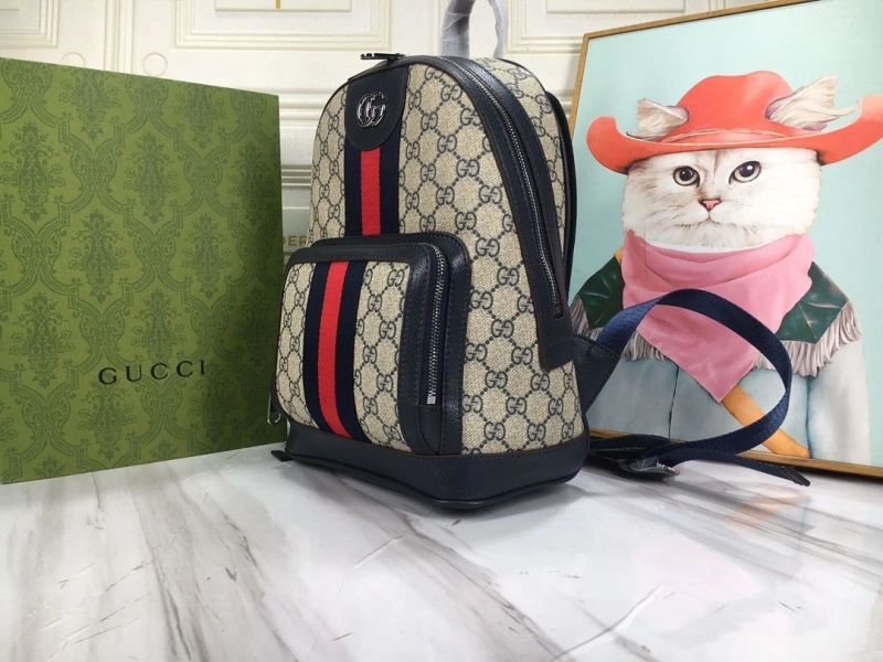 Gvc*1 backpacks 4032-1080