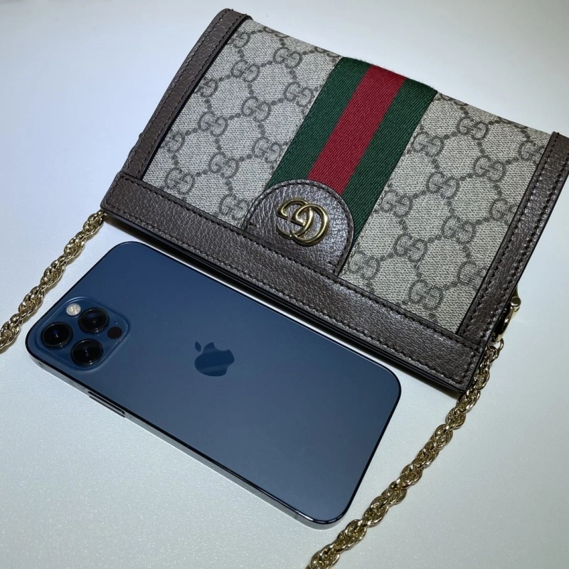 Gvc*1 clutch bags 4033-0173