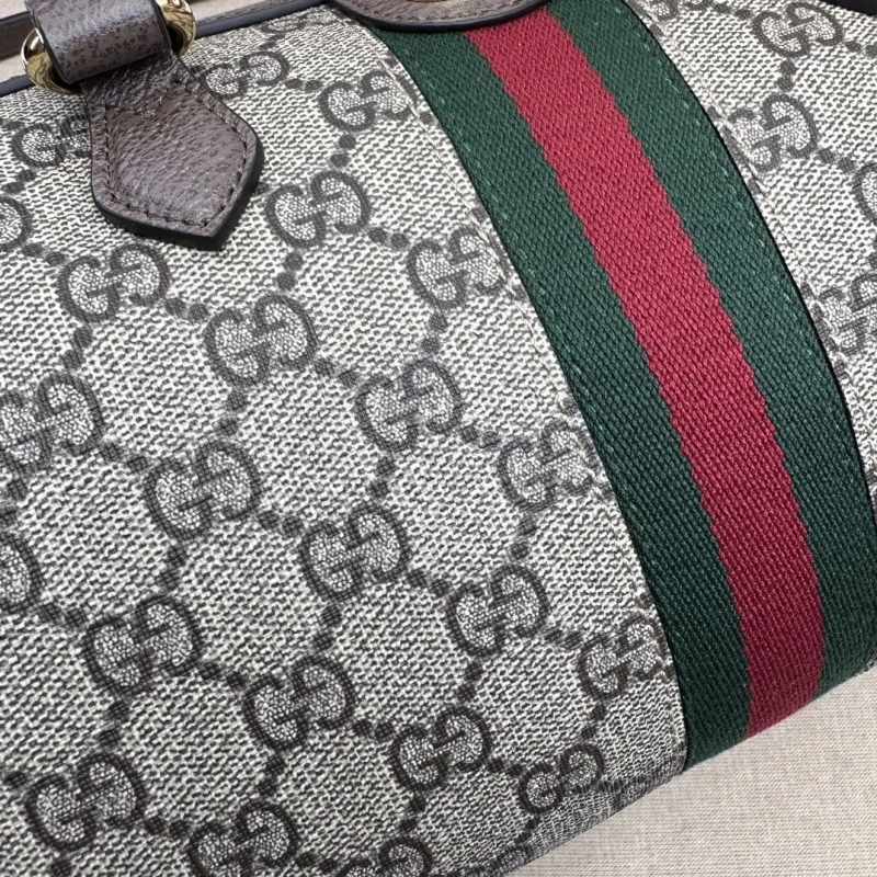 Gvc*1 speedy bags 4036b-0736