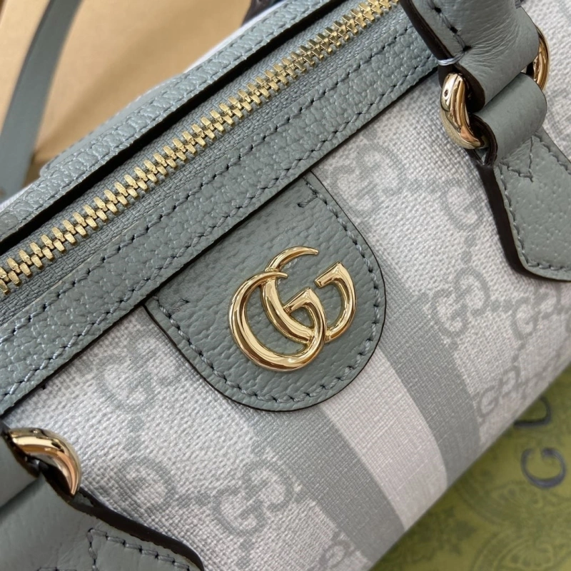 Gvc*1 speedy bags 4036c-3480