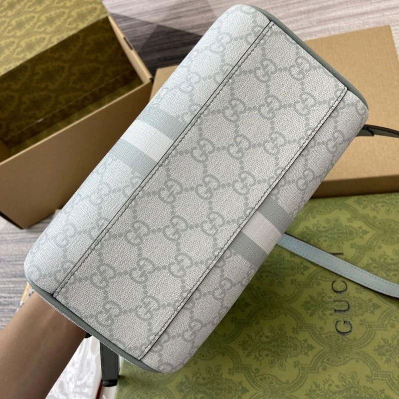 Gvc*1 speedy bags 4036c-3480