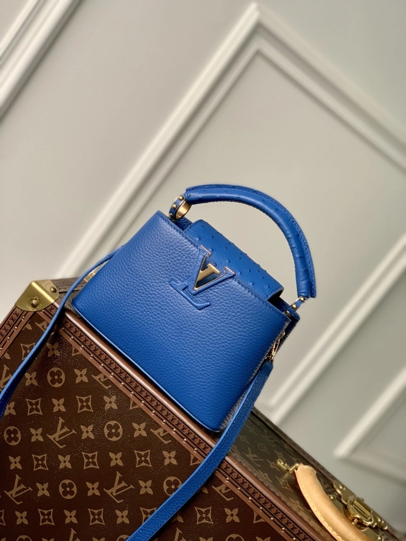 LV Capucines Bags 4048G-0021