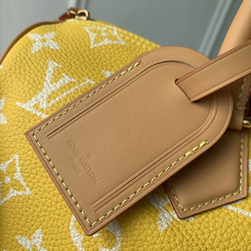 LV Speedy Bags 4048I-0161