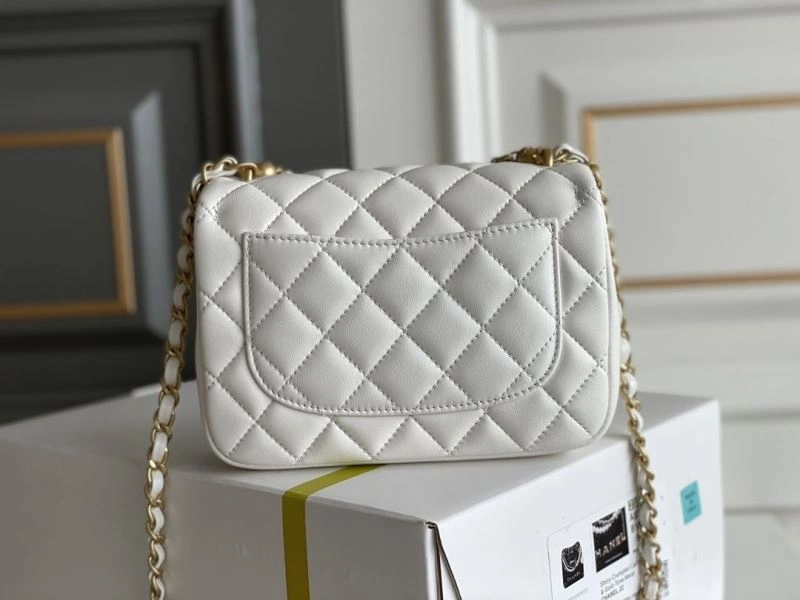 Ch**el 19 bags 4049c-0249