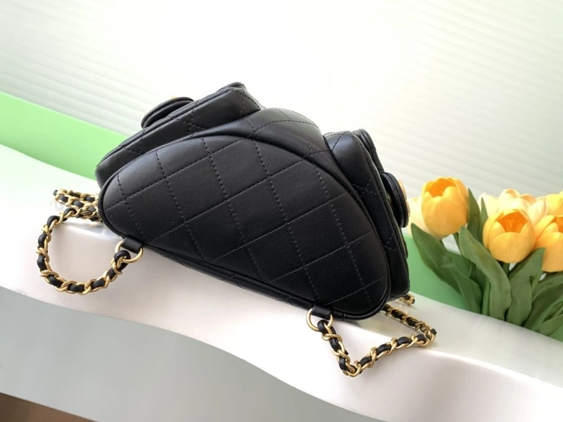 Ch**el backpacks 4049h-0226