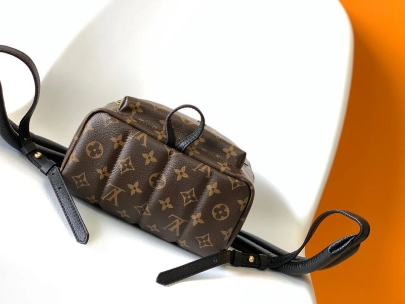 LV Backpacks 4056D-0298