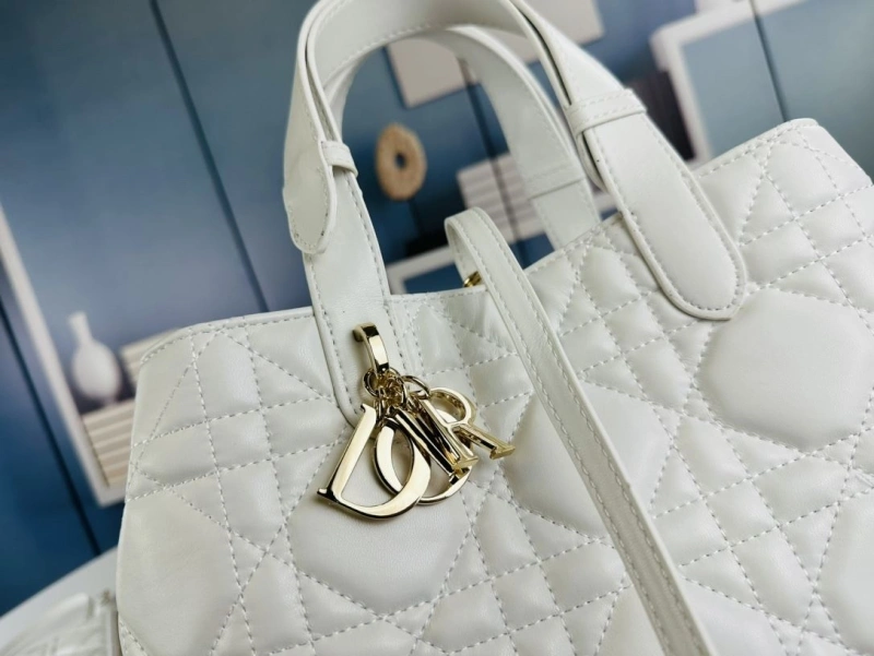 D10r shopping bags 4081b-1725