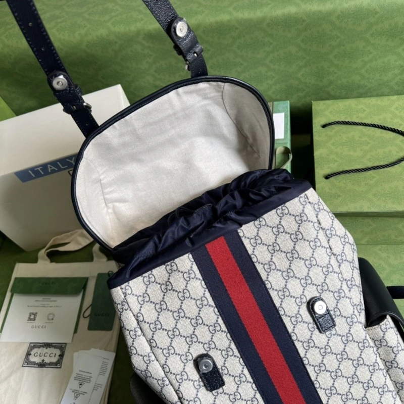 Gvc*1 backpacks 4094-0411