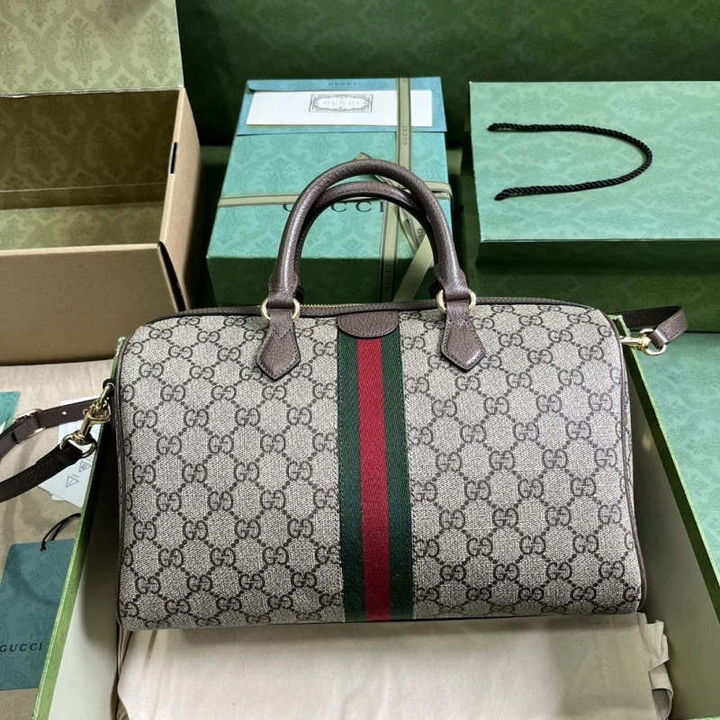 Gvc*1 speedy bags 4094b-0163