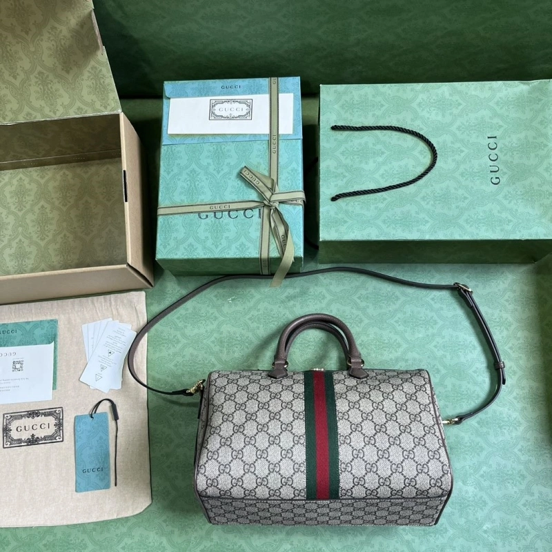 Gvc*1 speedy bags 4094b-0163