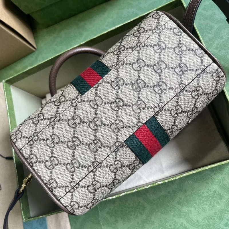 Gvc*1 speedy bags 4094b-0169