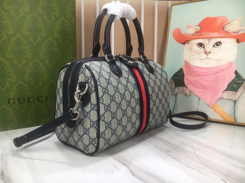 Gvc*1 speedy bags 4189a-0283