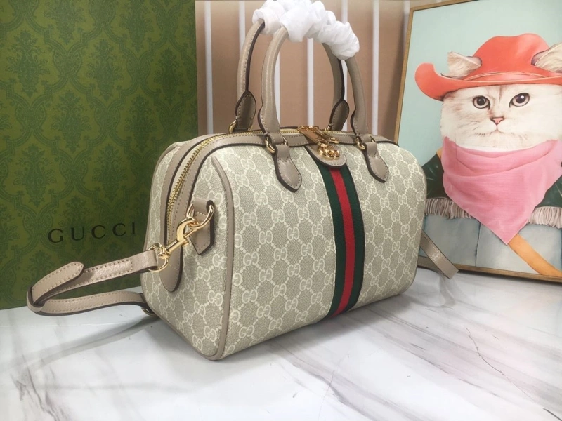 Gvc*1 speedy bags 4189a-0284