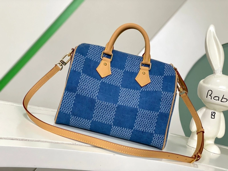 LV Speedy Bags 4194A-0824