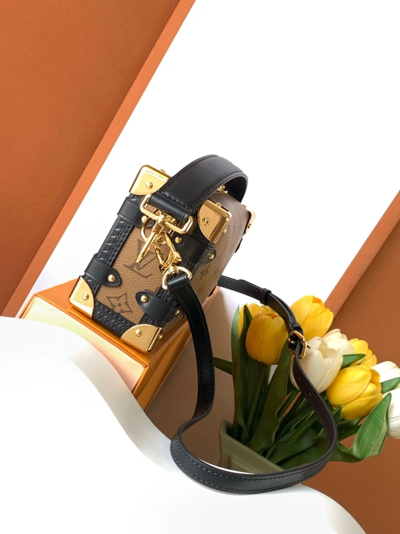 LV Box Bags 4194A-1120