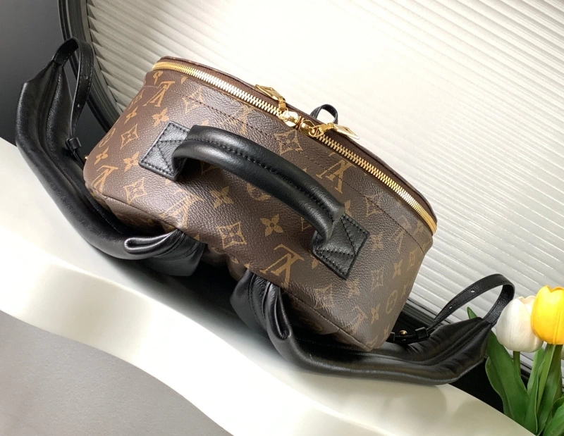 LV Backpacks 4194A-1187