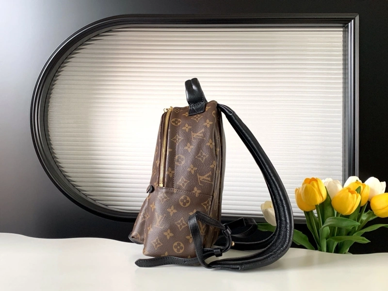LV Backpacks 4194A-1188