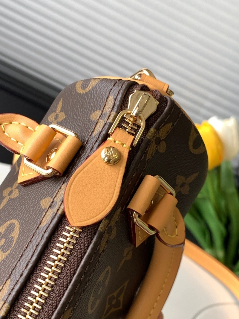 LV Speedy Bags 4194A-1254