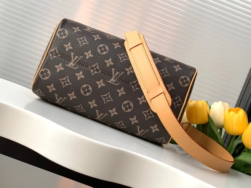 LV Speedy Bags 4194A-1454
