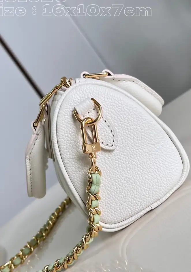 LV Speedy Bags 4206A-2719