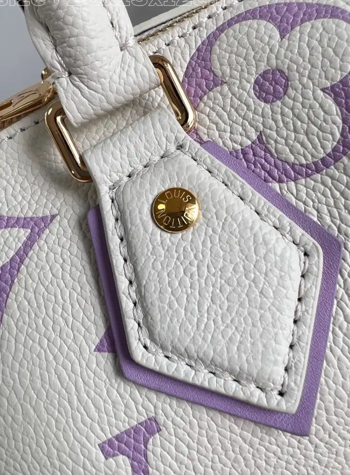 LV Speedy Bags 4206A-3499