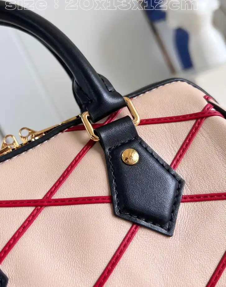 LV Speedy Bags 4206A-4828