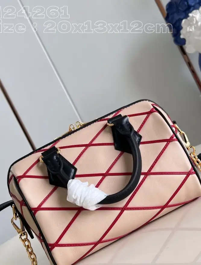 LV Speedy Bags 4206A-4828
