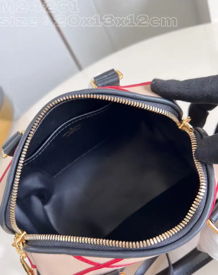 LV Speedy Bags 4206A-4828