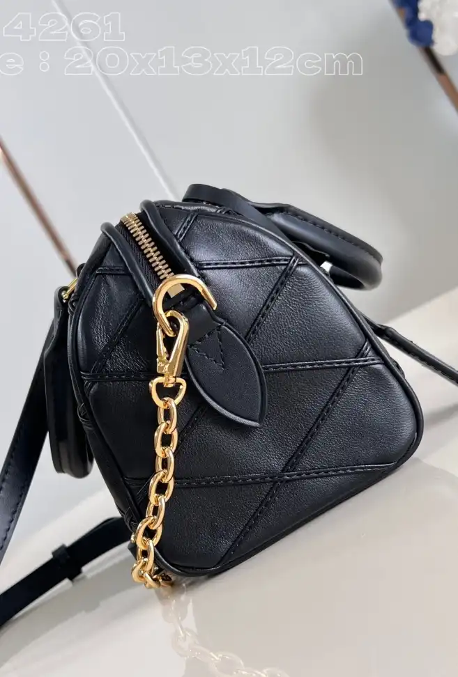 LV Speedy Bags 4206A-4829