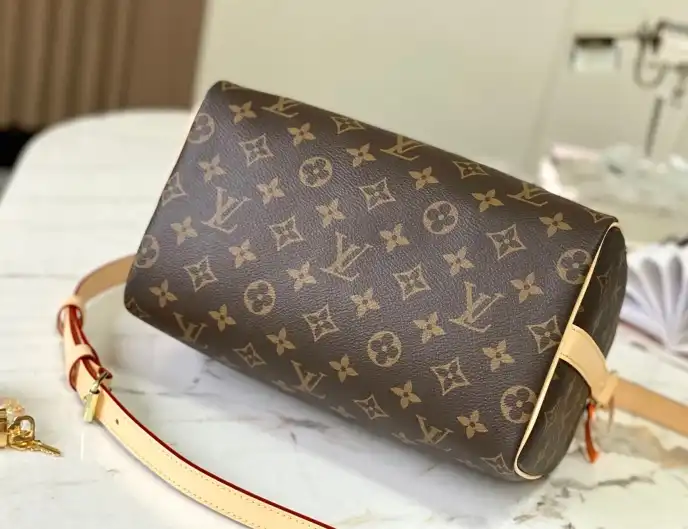 LV Speedy Bags 4206A-5954