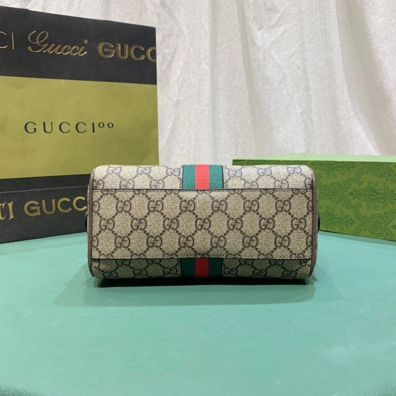Gvc*1 speedy bags 4220c-0103