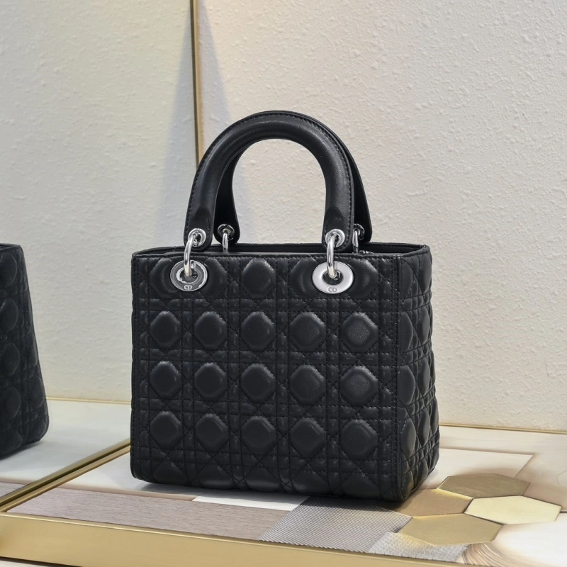 D10r my lady bags 4220c-0175