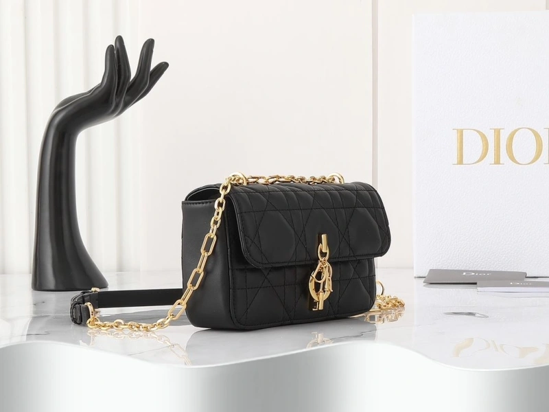 D10r satchel bags 4220c-0243