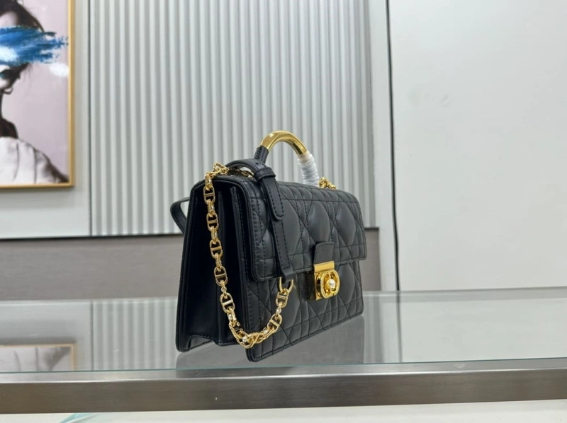 D10r top handle bags 4220c-0293