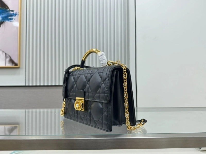 D10r top handle bags 4220c-0293