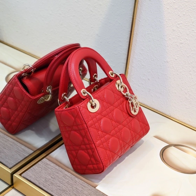 D10r my lady bags 4220c-0317
