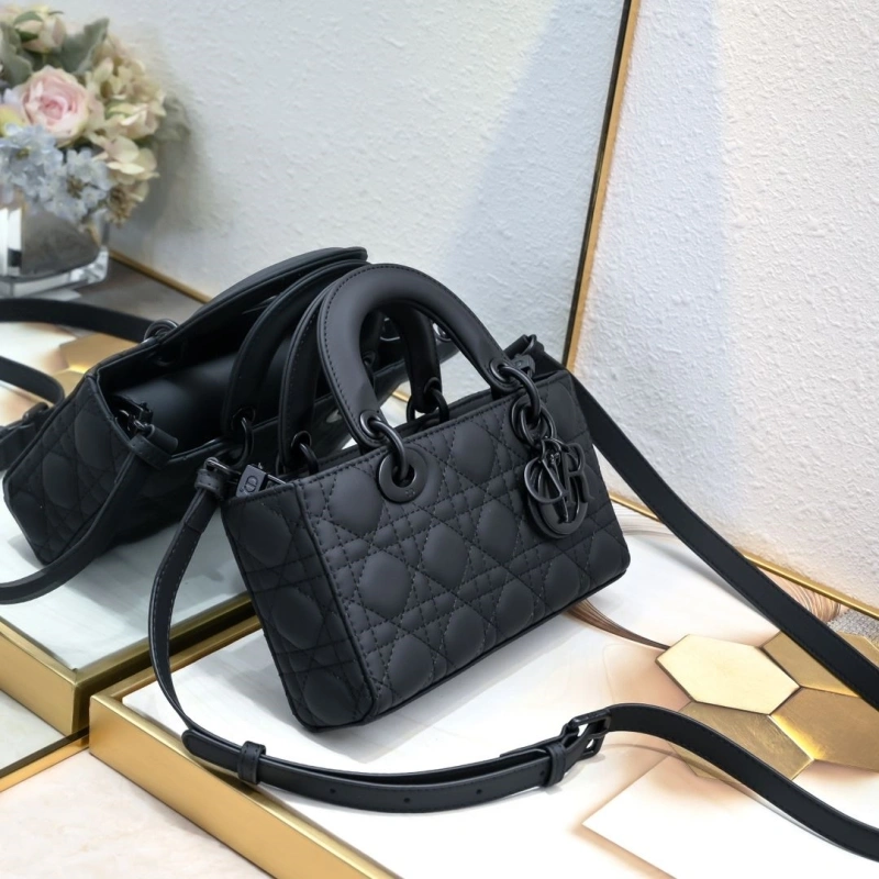 D10r top handle bags 4220d-0049