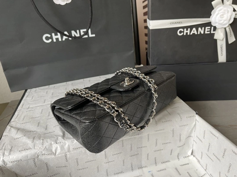 Ch**el cf series bags 4224-1901